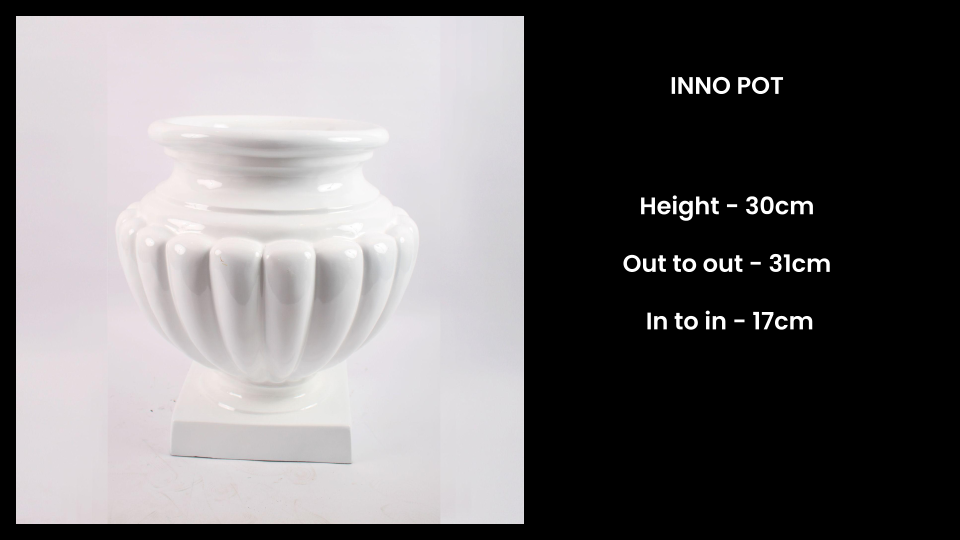 Inno Pot ā Compact Decorative Fiberglass Planter for Tabletops & Small Spaces
