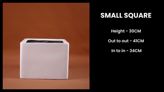 Small Square Planter – Compact Fiberglass Pot for Modern Indoor & Outdoor Decor
