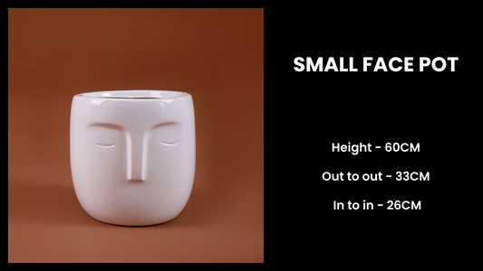 Small Face Planter – Artistic Fiberglass Pot for Indoor Decor & Gifting
