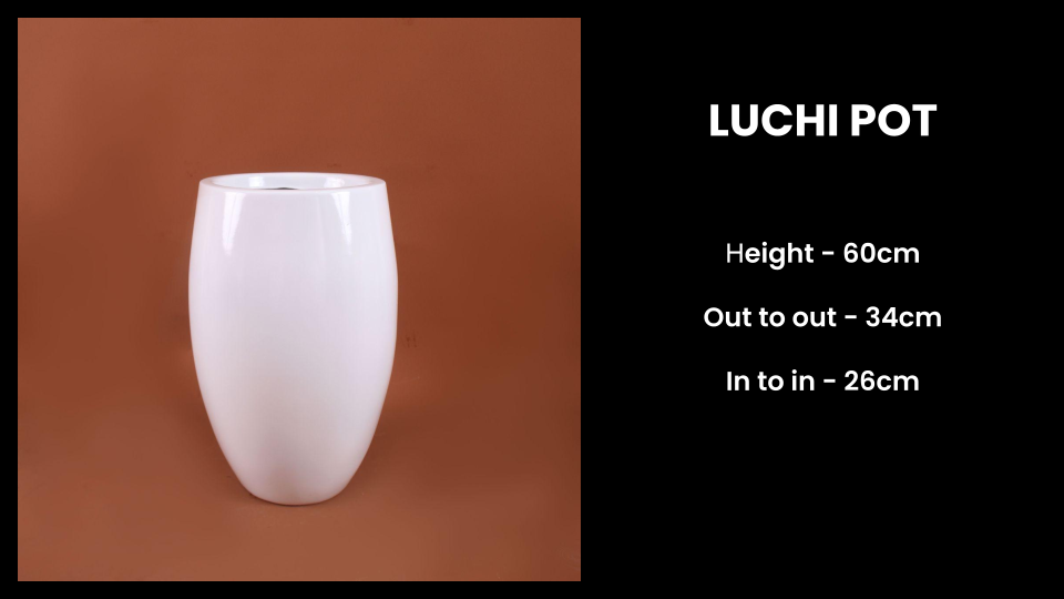 Luchi Pot – Tall Decorative Fiberglass Planter for Modern Spaces