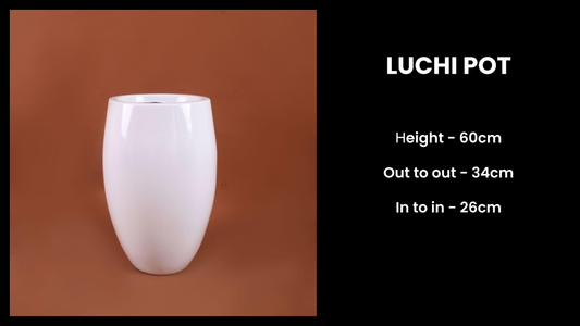 Luchi Pot – Tall Decorative Fiberglass Planter for Modern Spaces