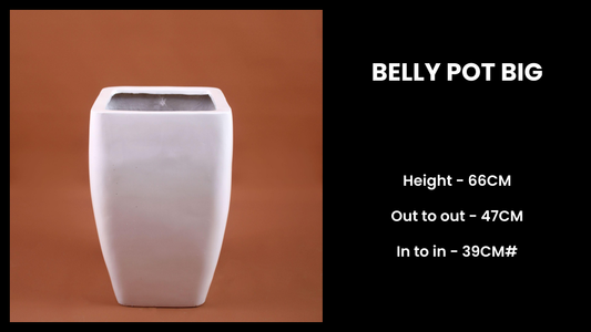 Belly Pot (Big) – Curved Fiberglass Planter for Lush Indoor & Outdoor Displays